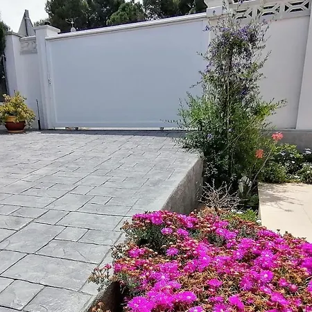Vacay Zen
